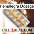 Femalegra Dosage levitra1